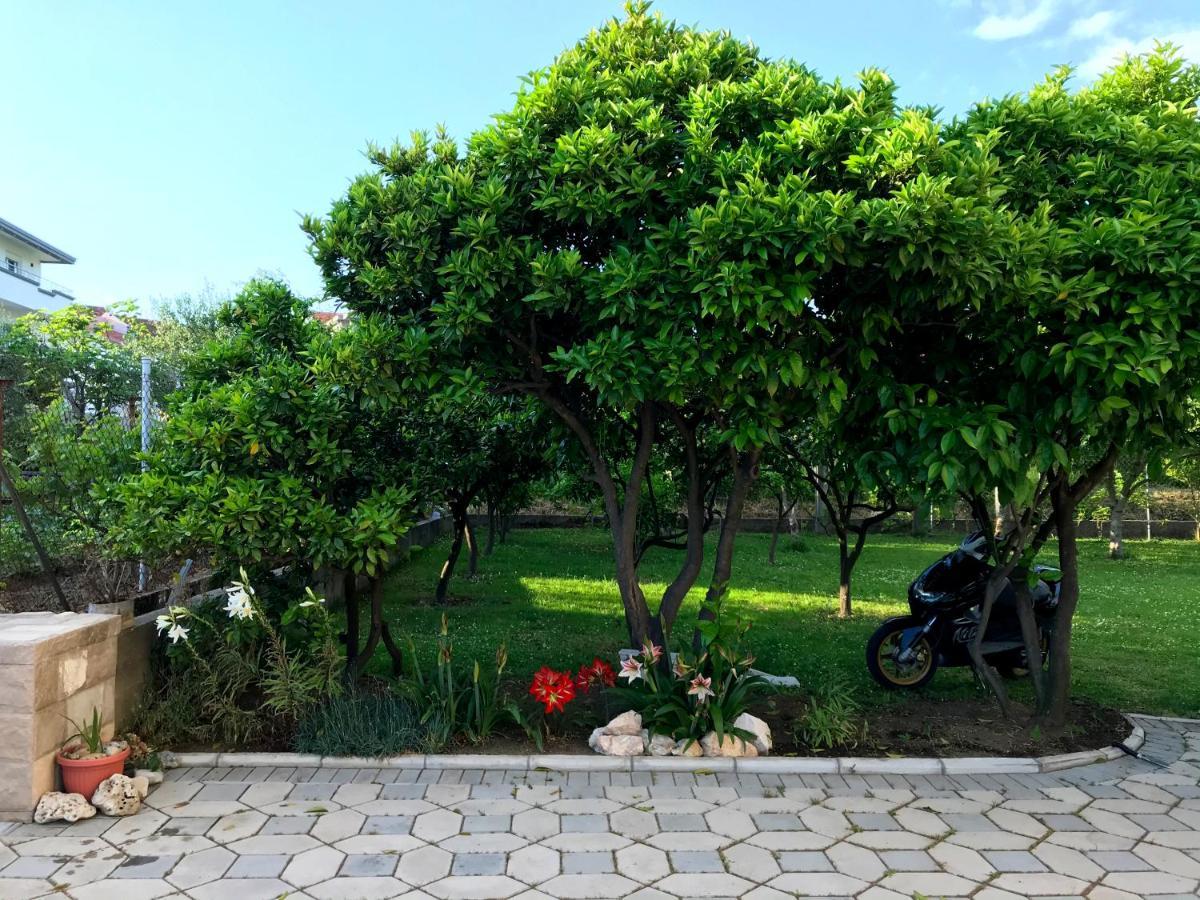 Apartments Kraja Ulcinj Luaran gambar
