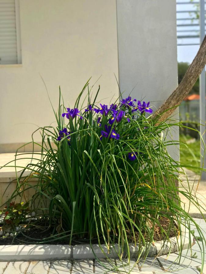 Apartments Kraja Ulcinj Luaran gambar